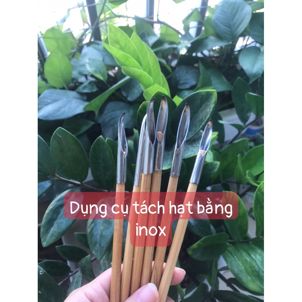 Dụng cụ tách hạt nhãn, vải bằng inox dày dặn.