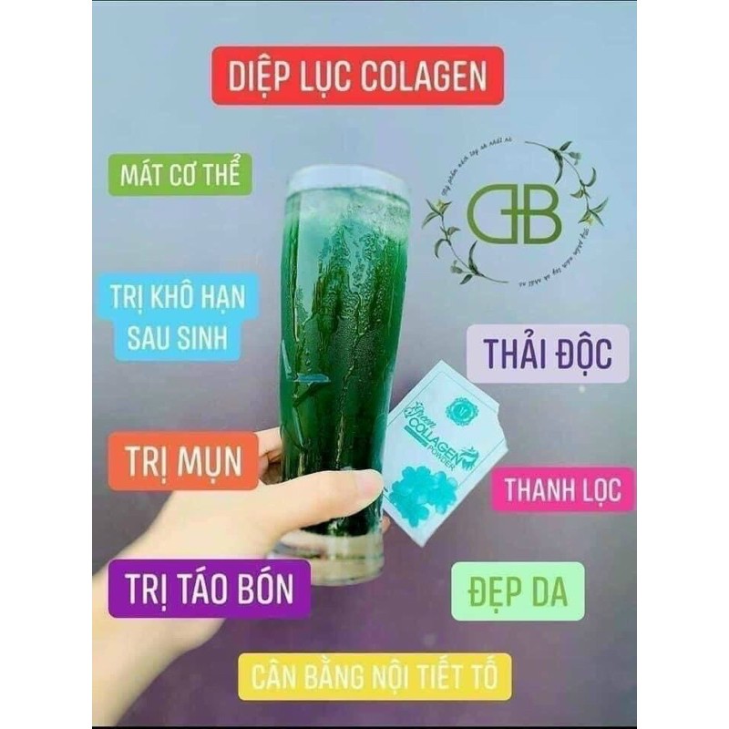 dịp lục___