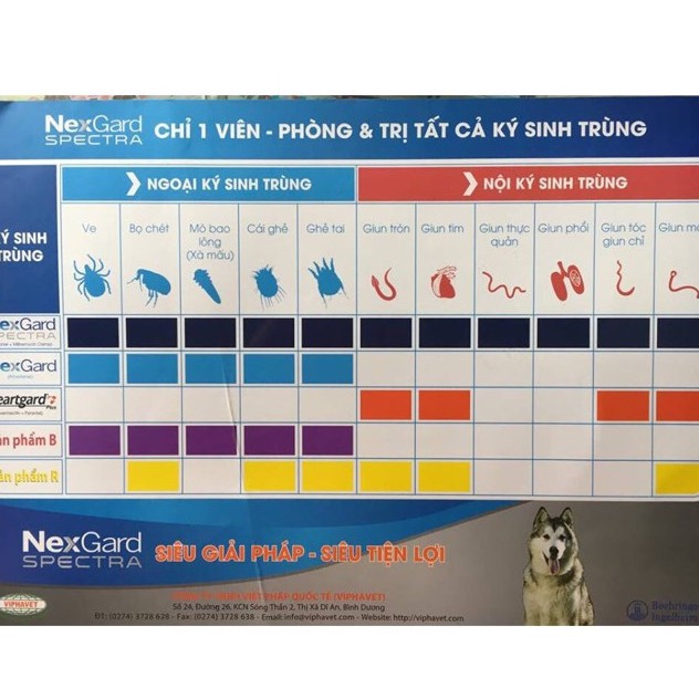 NexGard 4-10Kg [hộp 6 viên] Phòng và t.r.ị ve ghẻ bọ chét trên chó