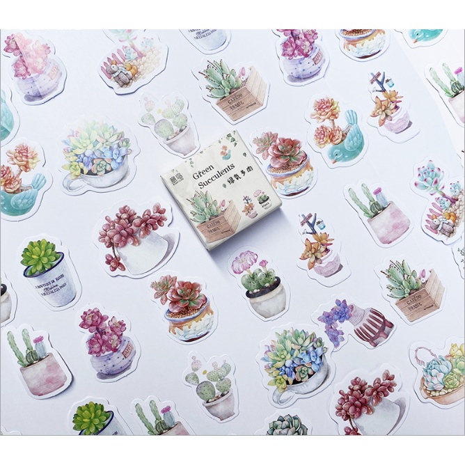 KimiTape Sticker hộp 45 hình dán sen đá trang trí Bullet Journal