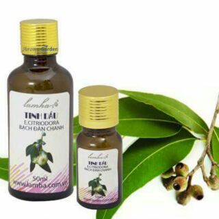 Tinh dầu bạch đàn chanh