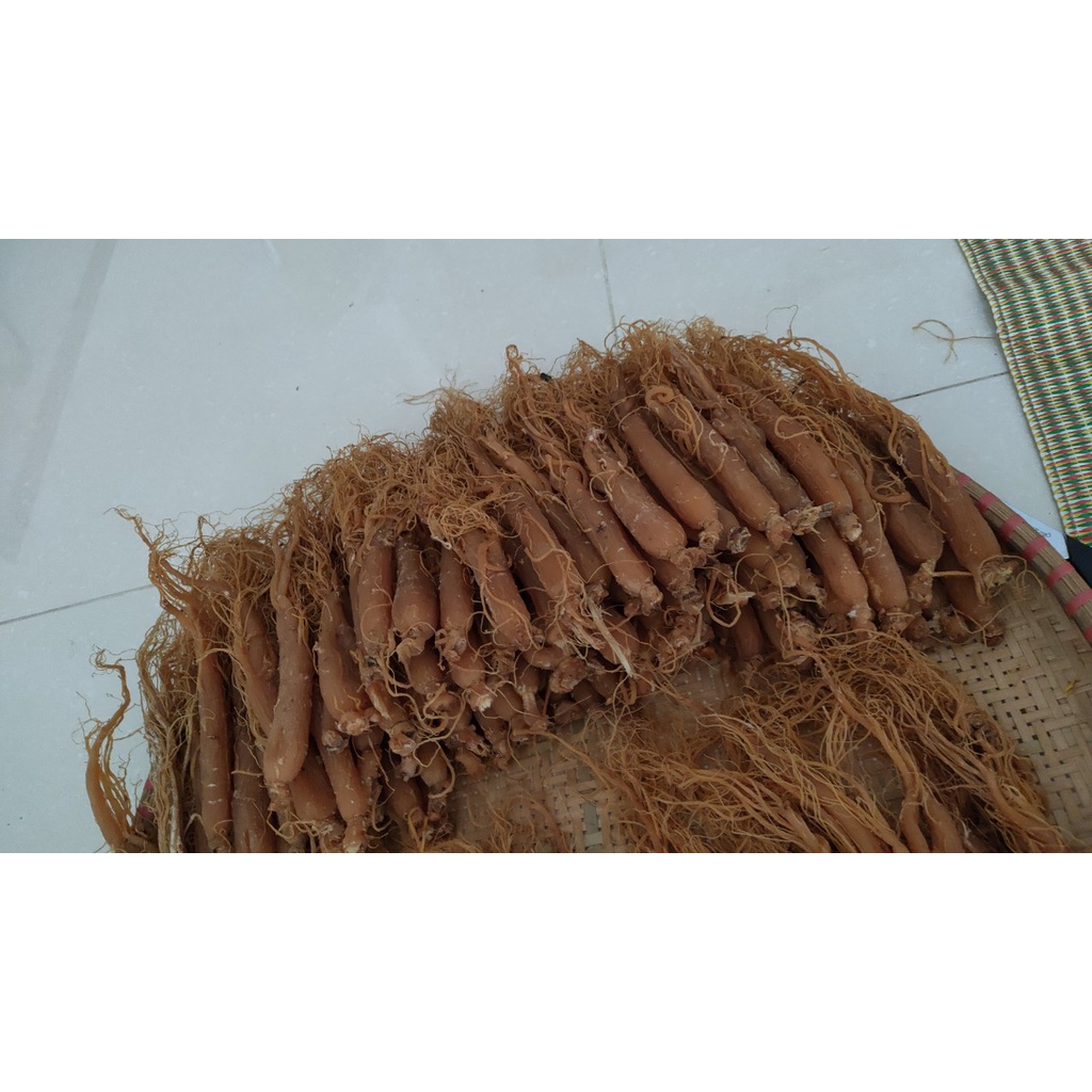 NHÂN SÂM (1 củ  NHỊ HỒNG SÂM) sấy khô củ 25-30gr dẻo thơm ngon dễ ăn bổ dưỡng tăng cường sức khỏe | BigBuy360 - bigbuy360.vn