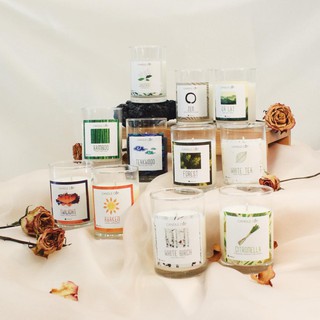 Nến Thơm Thiên Nhiên Candle Cup Chính Hãng Giá Rẻ - 16 Hương - Nguyên liệu 100% Tự Nhiên - Thanh Tẩy Không Gian Sống