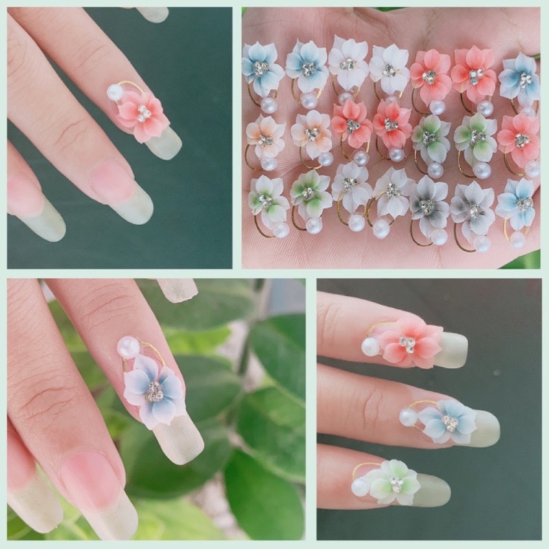 hoa bột-hia nails( mai cham )
