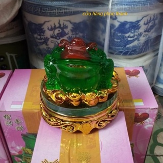 Cóc Thiềm Thừ xanh xoay