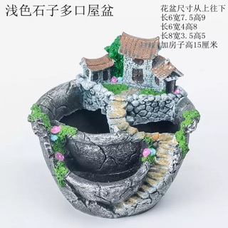 Chậu cây cảnh độc đáo