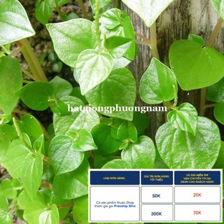 0,5GR - HẠT GIỐNG RAU CÀNG CUA