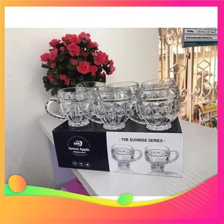 Sỉ bộ 6 cốc thủy tinh có quai (hàng sịn đẹp 8uj