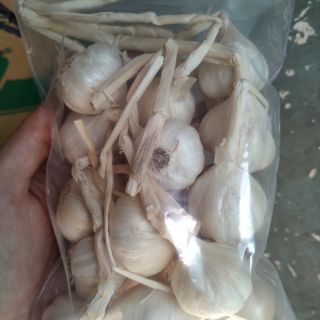 500g Tỏi Lý Sơn Quảng Ngãi