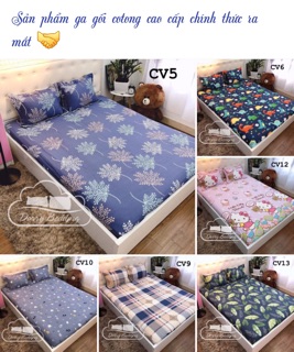 Bộ ga 2 vỏ gối cotton (1,6m x2m )