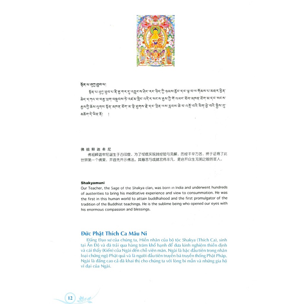 Sách - Tranh Tượng Phật Giáo Tây Tạng, Các Tangka Tại Golog (Bìa Cứng)