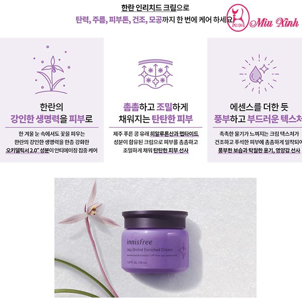 KEM DƯỠNG DA [INNISFREE] Jeju Orchid Enriched Cream (NEW)