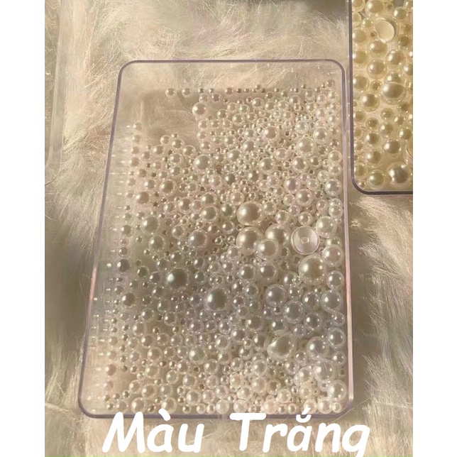Khay Hạt Trai Tròn Set Hạt Trai Nhiều Side Nail - manh219