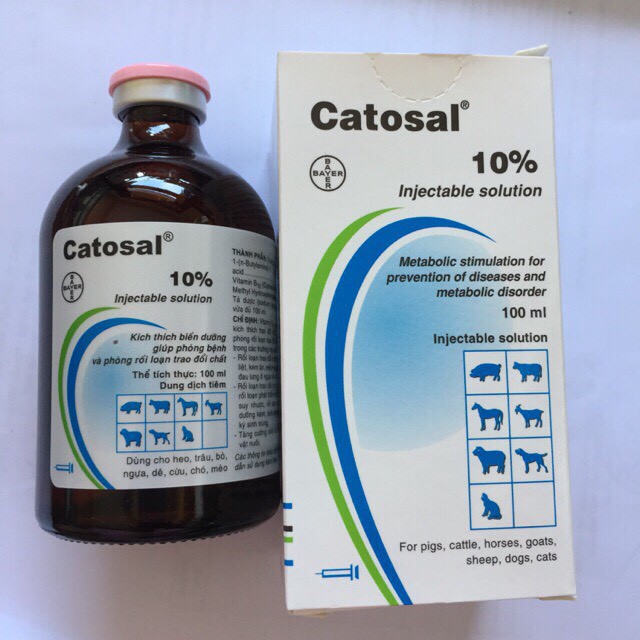 Thuốc bổ cao cấp cho chó, mèo, gà đá...100ml Catosal 10%