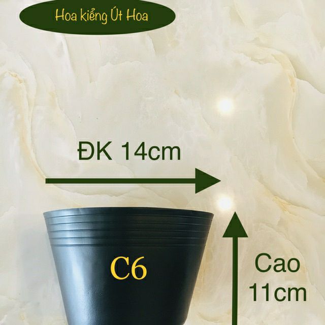 50 chậu nhựa đen C6 trồng cây nhỏ, ươm cây con