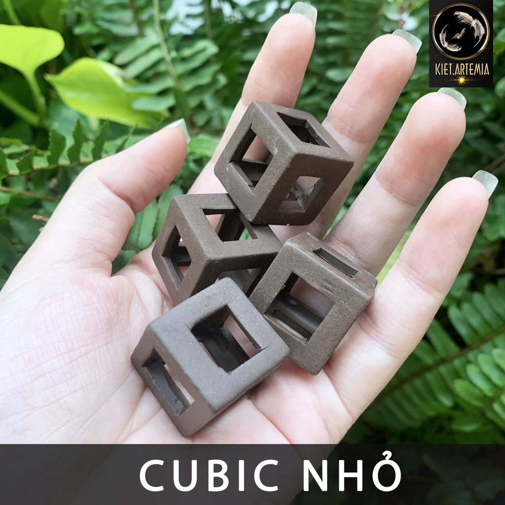 Đồ chơi tép cảnh