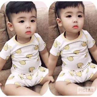 Xả cotton giấy vải qc siz 4-15kg