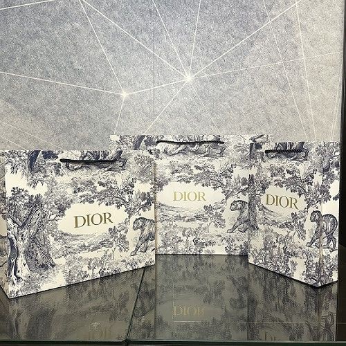 Túi Giấy Đựng Đồ Ba Kích Cỡ Dòng DIOR_Forest Chính Hãng Chất Lượng Cao