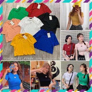 Áo croptop khoét trái tim cuốn biên chất thun rẻ nhiều màu