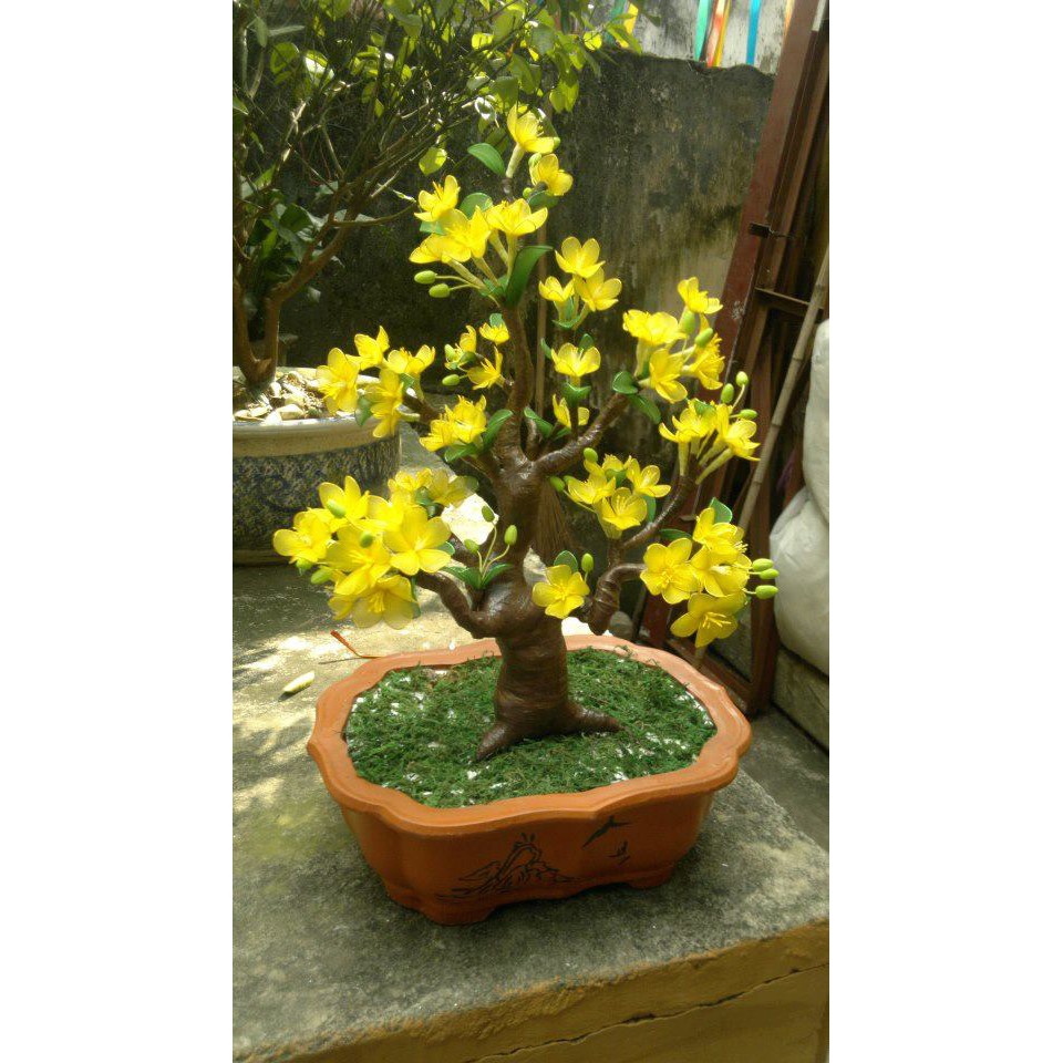 Combo dụng cụ, nguyên liệu làm cây mai bonsai bằng vải voan