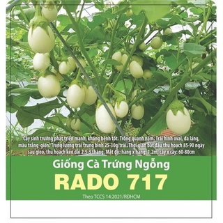 Hat giống Cà Trứng Ngỗng