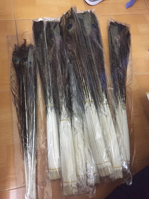 Lông công 100cm tự nhiên tài lộc | BigBuy360 - bigbuy360.vn