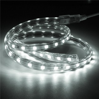 Đèn LED dây 5050 10m