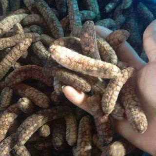 1 kg Chuối hột rừng Tây Nguyên