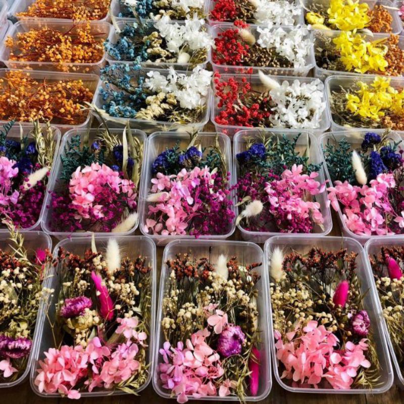 Hộp hoa khô trang trí mix nhiều loại hoa lá giá lẻ bằng sỉ