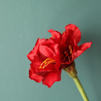 [MIỄN PHÍ VẬN CHUYỂN] Hoa lụa cành hoa amaryllis đẹp sang trọng quý phái hoa decor trang trí hoa cưới hoa sự kiện