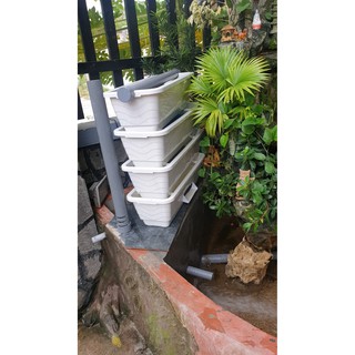 Baki 4t lọc hồ cá kt 69×25×75 màu trắng và đen