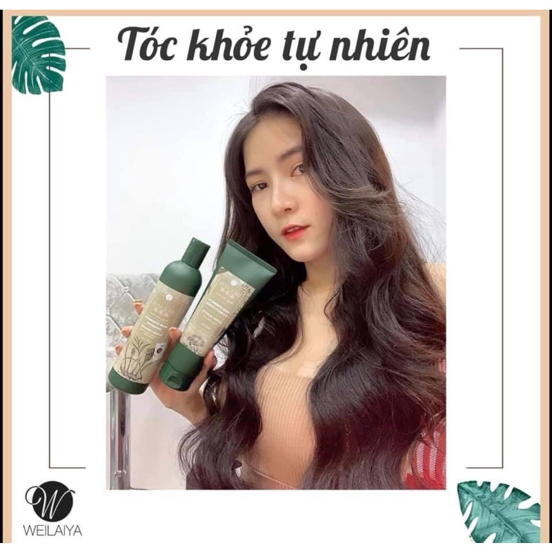 Bộ dầu gội gừng Weilaiya, giảm rụng kích mọc tóc chính hãng