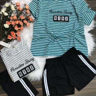 Combo 22b