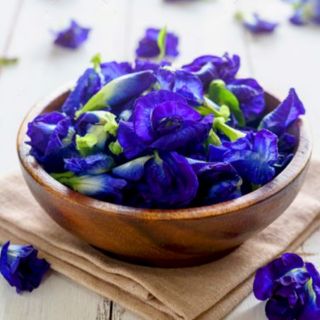 HẠT GIỐNG HOA ĐẬU BIẾC 100 HẠT - BAMBOO GARDEN