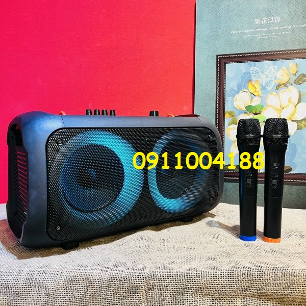 Loa karaoke mini di động Temeisheng 6616 LED Âm thanh siêu chất lượng + Tặng kèm 2 micro hút âm hát karaoke hay