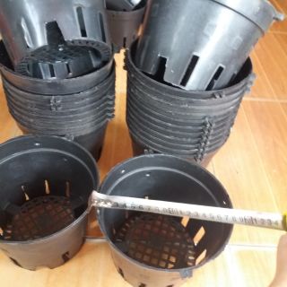 Chậu trồng lan phi 18cm