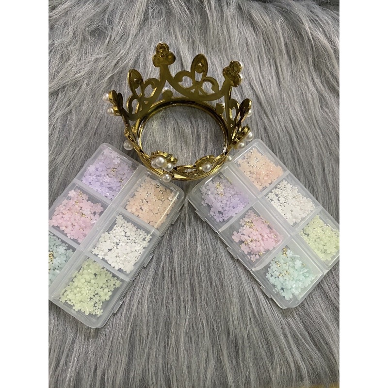 Hoa Khô Nhí,khay Charm Hoa Bi Mix 6 Màu,phụ Kiện Trang Trí Nail