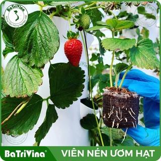 Thùng 1000 Viên nén ươm hạt BATRIVINA
