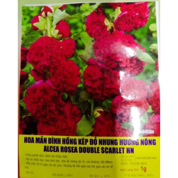 Hạt giống HOA MÃN ĐÌNH HỒNG KÉP ĐỎ NHUNG - GÓI 1 GRAM