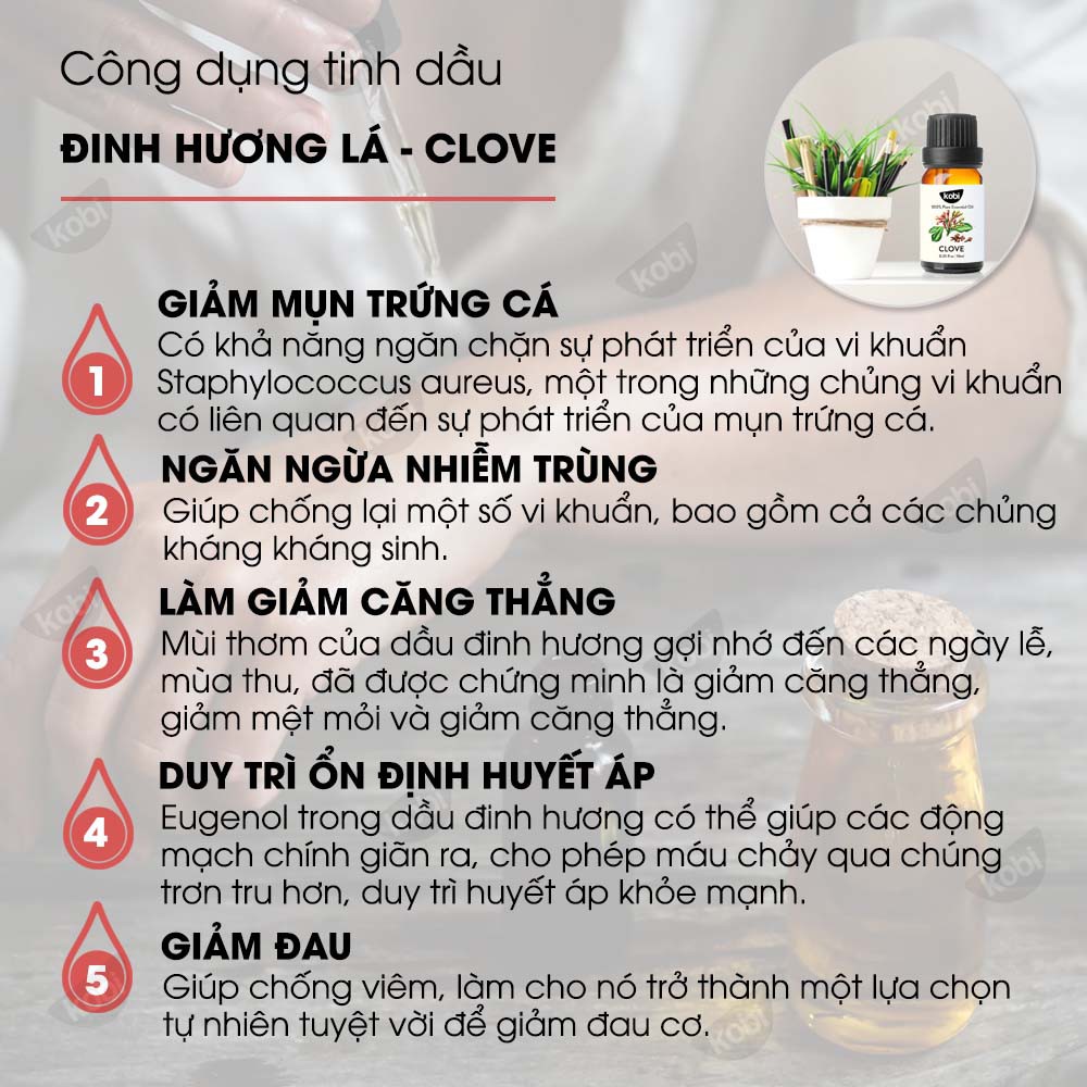Tinh dầu Đinh Hương Lá Kobi Clove essential oil giúp làm giảm căng thẳng, ổn định huyết áp - 5ml