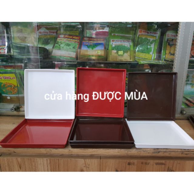 Dĩa lót chậu vuông 20cm