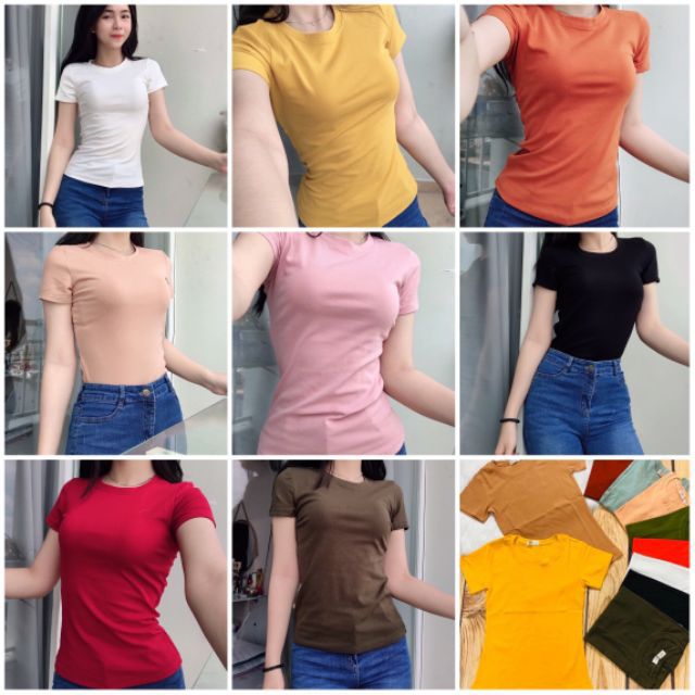 Áo thun body cổ tròn sỉ bằng lẻ (= 50k) | BigBuy360 - bigbuy360.vn