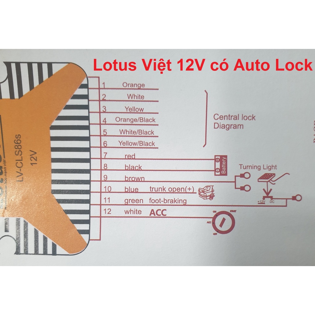 (BH 12 tháng) (12V / 24V) Bộ Khóa Cửa (Lock Cửa) Remote Xe Ô Tô #Lotus Việt  5 chức năng (tặng phôi, tặng logo)