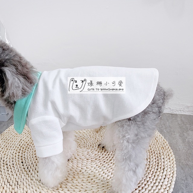 ÁO POLO DIOR CAO CẤP DÀNH CHO CHÓ MÈO