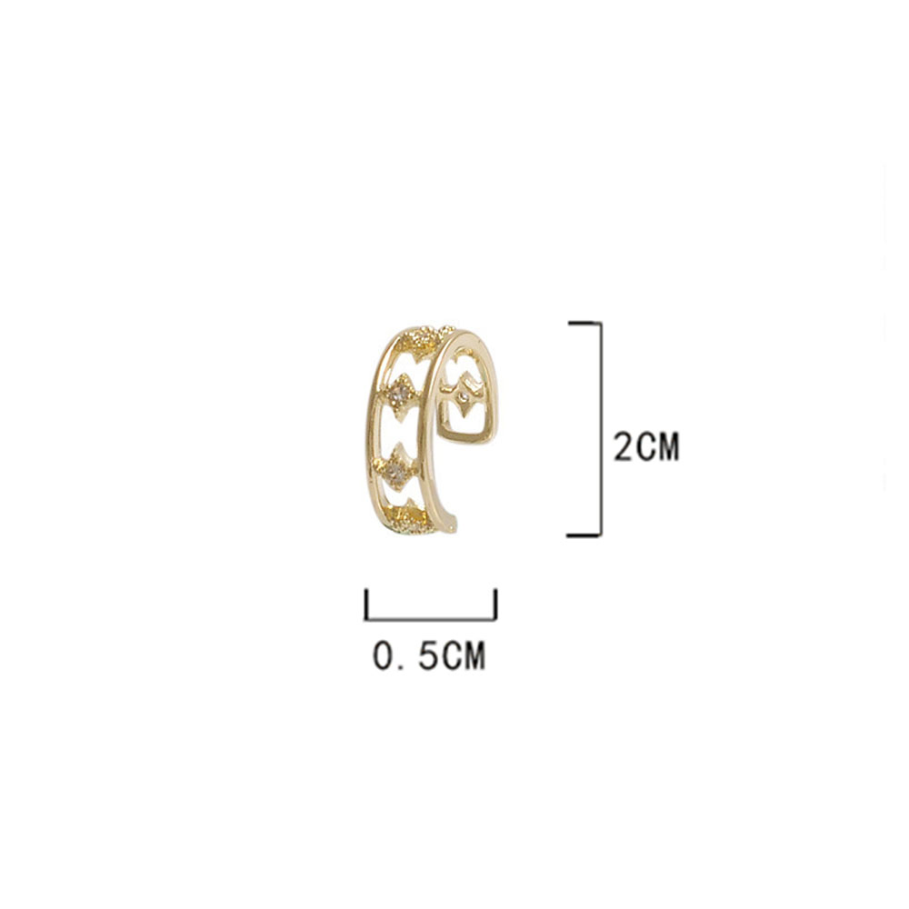 Bông Tai Nữ Trang Tạo Hình Độc Đáo Cá Tính