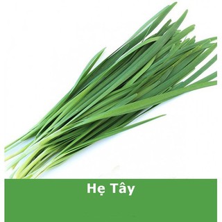 HẠT LÁ HẸ TÂY - GÓI 1 GRAM