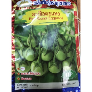 Hạt giống cà pháo xanh nhập khẩu thái lan nguyên bao bì