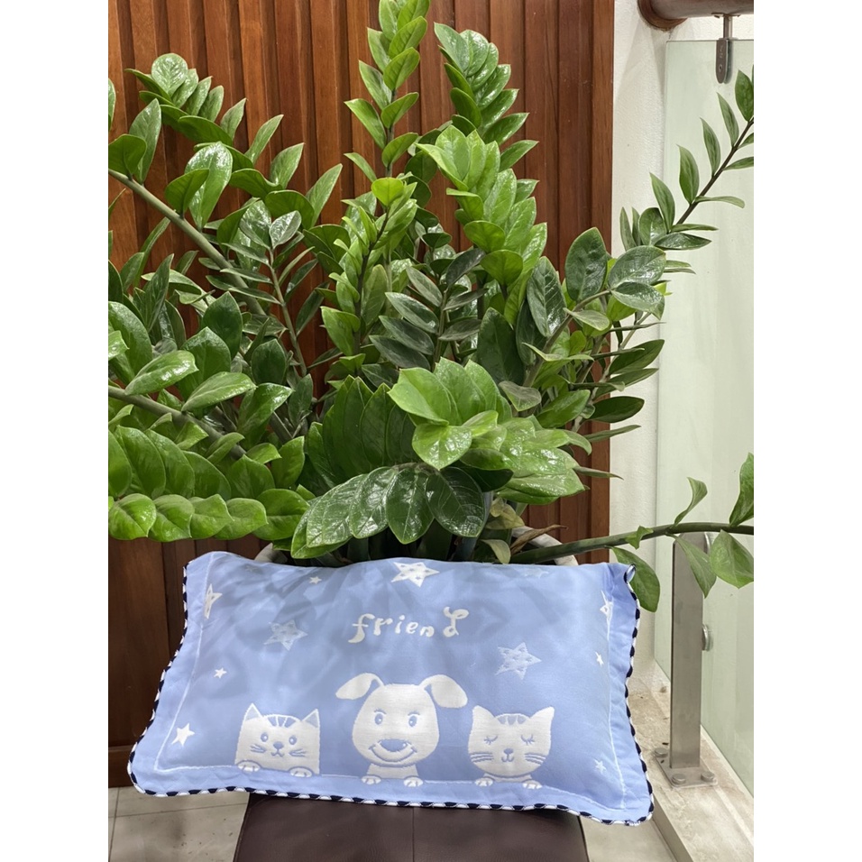 Gối đũi cho bé, gối cotton đũi cho bé từ 1 đến 10 tuổi mềm mịn thoáng khí thấm hút mồ hôi tốt, nhiều hình ngộ nghĩnh