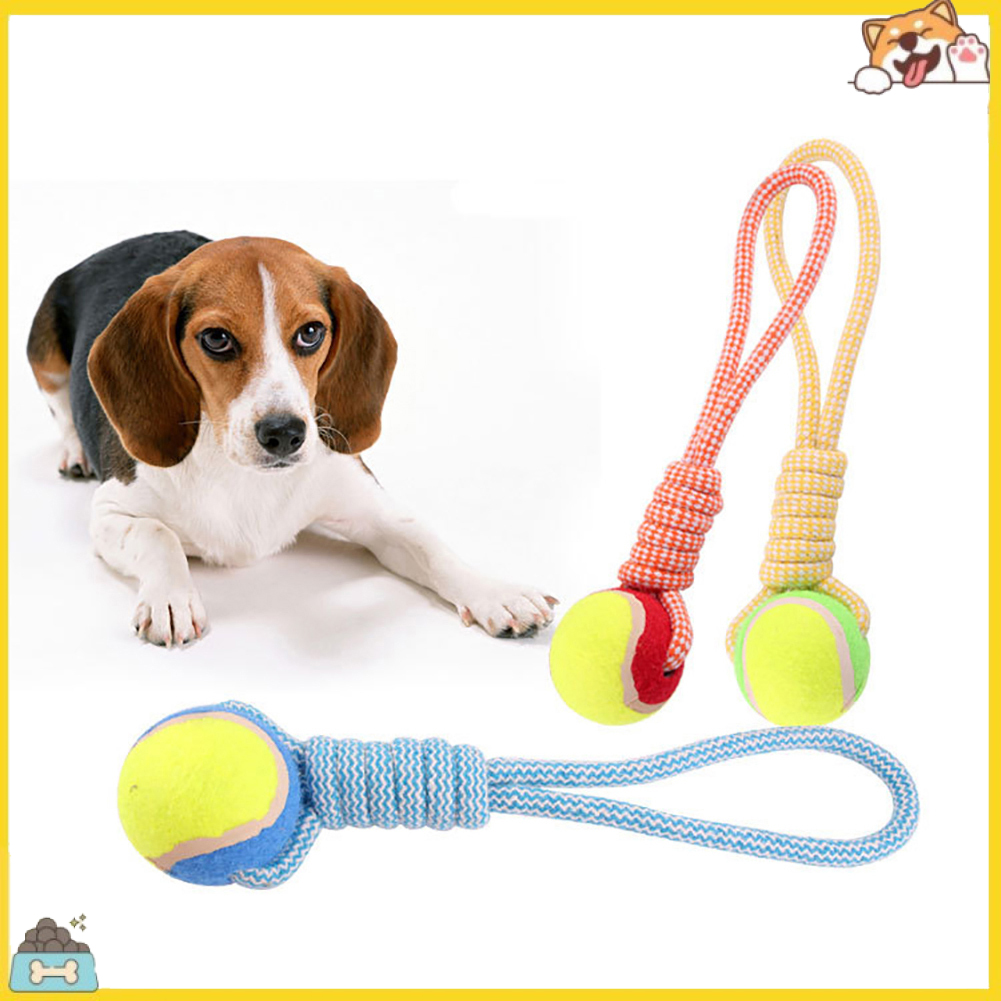 Dây bóng tennis đồ chơi cho cún cưng