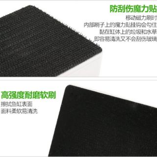 Nam châm Cọ bể Sun Sun